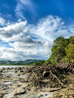 Baie de Ongoué Nouvelle Calédonie