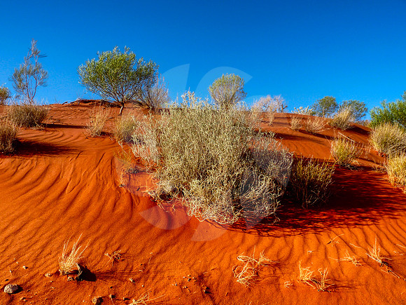 Sable Rouge Australie