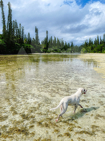 Ile des Pins Nouvelle Calédonie