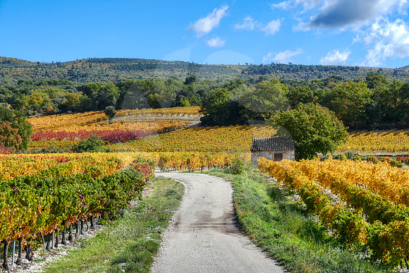 Petit chemin