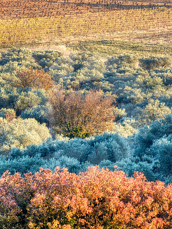 Les Alpilles