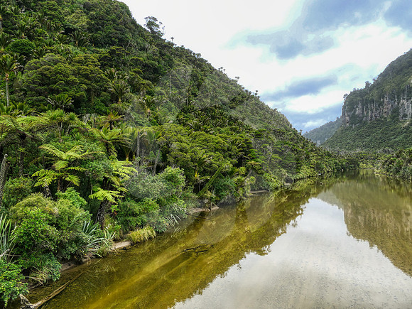 Rivière Pororari  Nouvelle Zélande