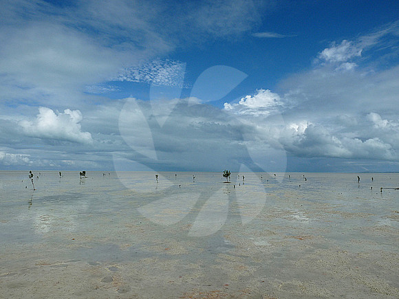 Plage de sable blanc Australie