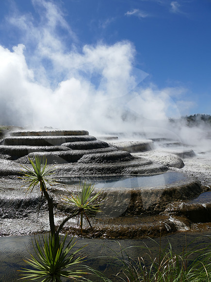 Source thermale  Nouvelle Zélande