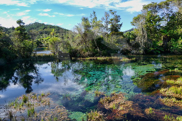 Source Te Waikoropupu  Nouvelle Zélande