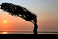 Levée de soleil Nouvelle Zélande
