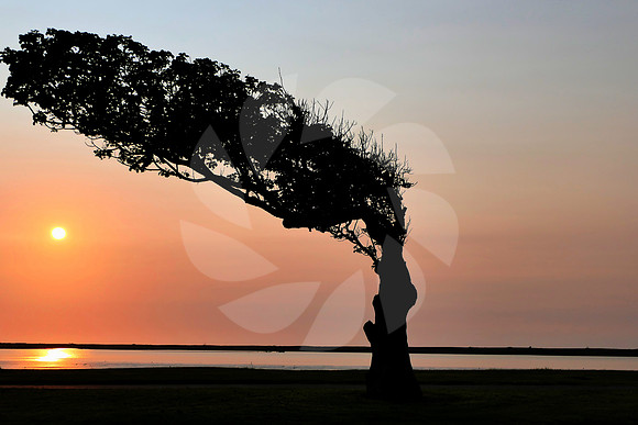 Levée de soleil Nouvelle Zélande