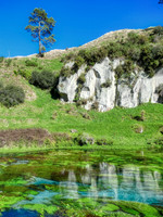 Blue Spring
