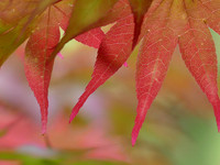 Couleurs printanières