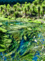 Source d'eau pure