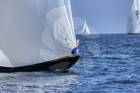 Régate Saint Tropez 2021