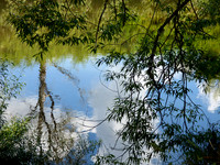 Réflexion d'un ciel d'été
